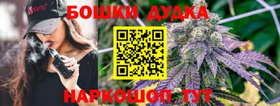 гашик Будённовск