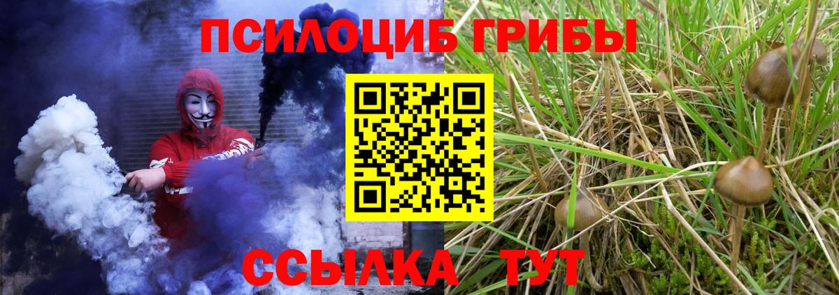 Галлюциногенные грибы Psilocybine cubensis  Вход с VPN  Красноармейск 